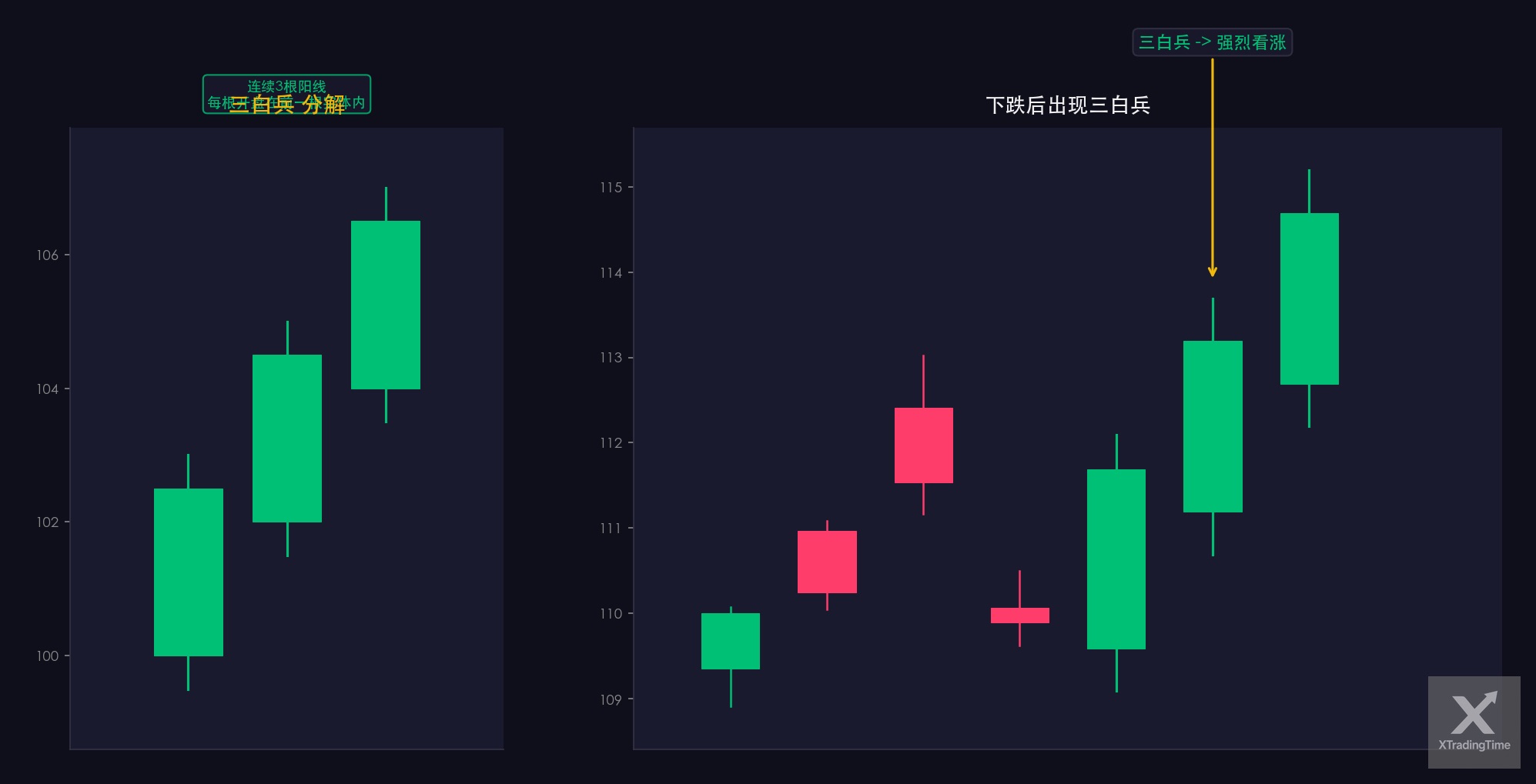图12：三白兵——形态图解