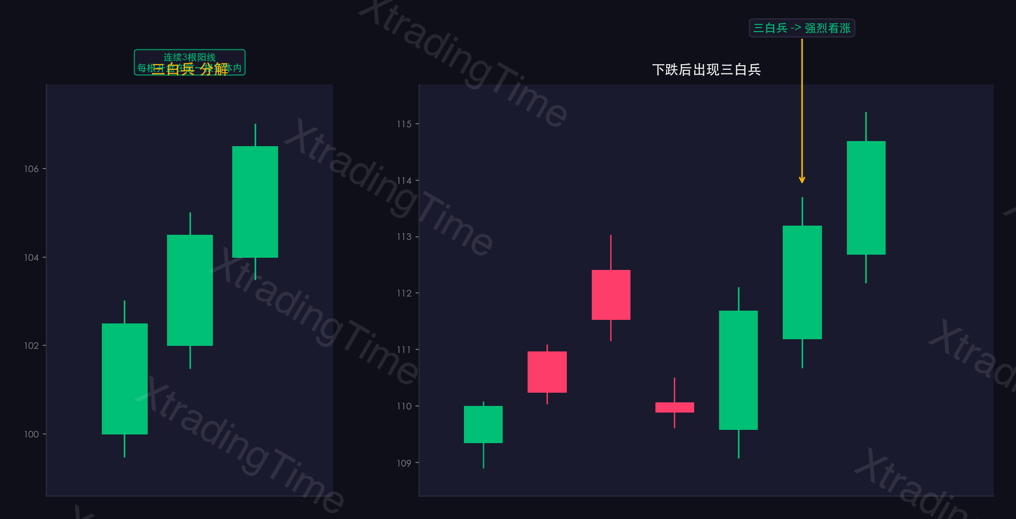 图12：三白兵——形态图解