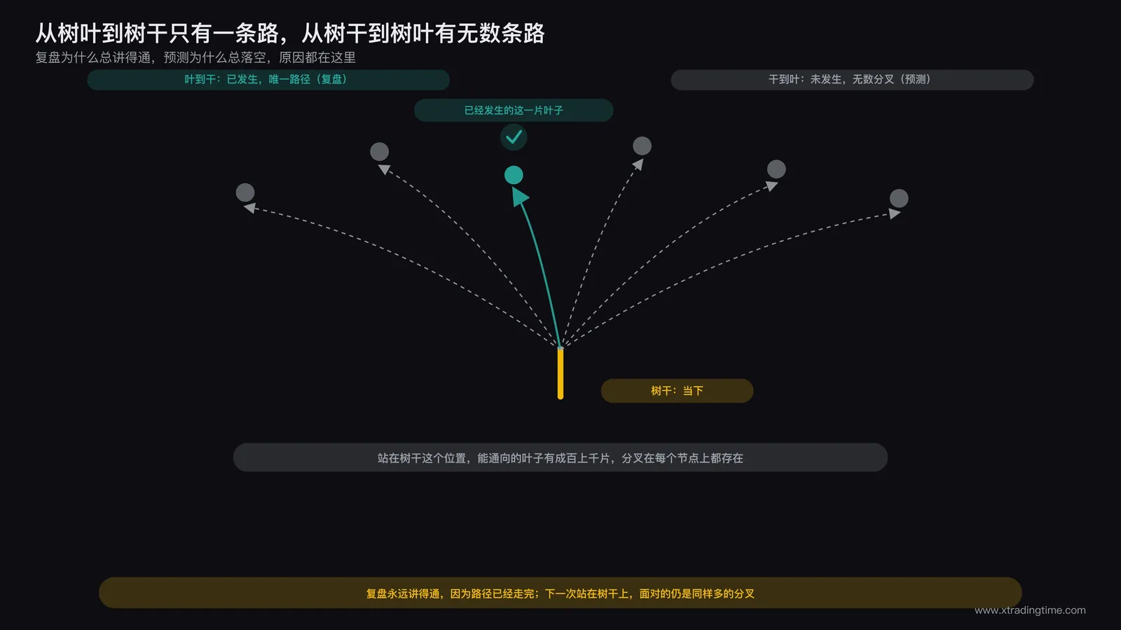 一棵树的示意图，从树叶沿唯一路径能追溯到树干，但从树干向上分叉出无数条通往不同树叶的路径