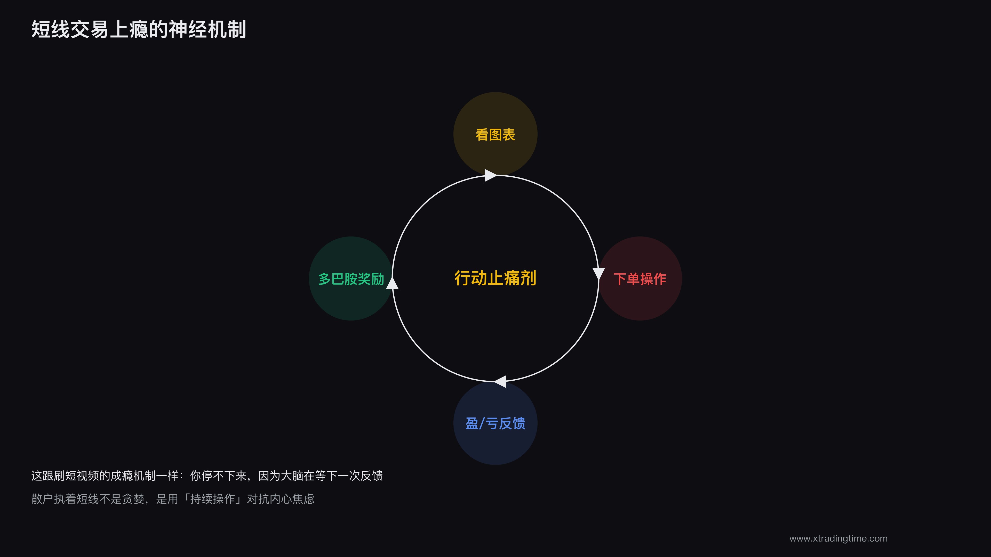 短线成瘾的神经回路