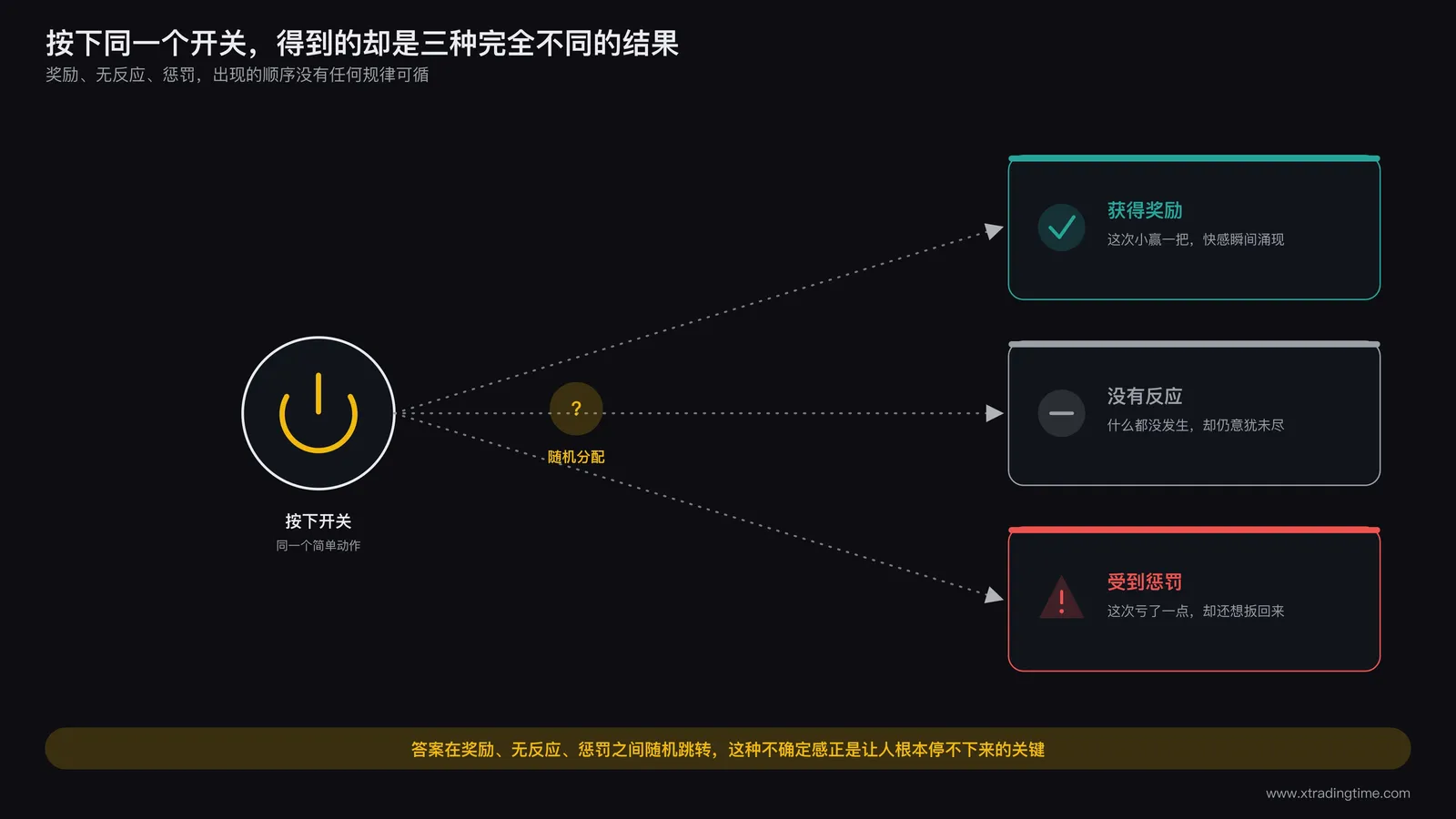 实验装置中按压开关获得随机奖惩反馈引发持续尝试行为的场景示意