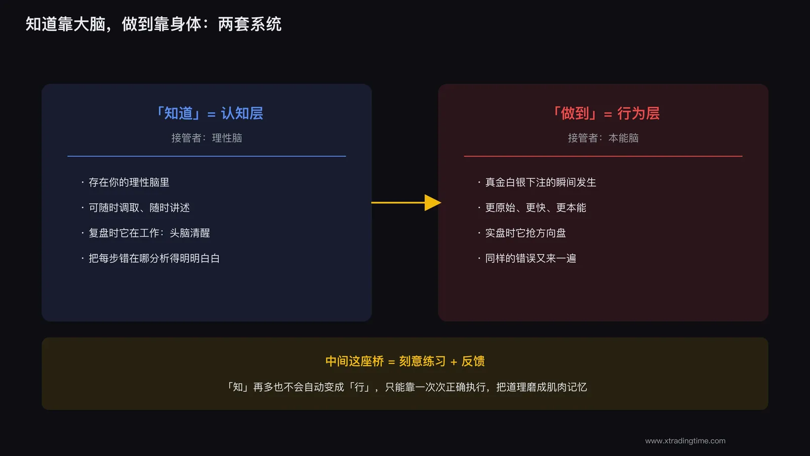 知识是大脑的事，下单是身体的事