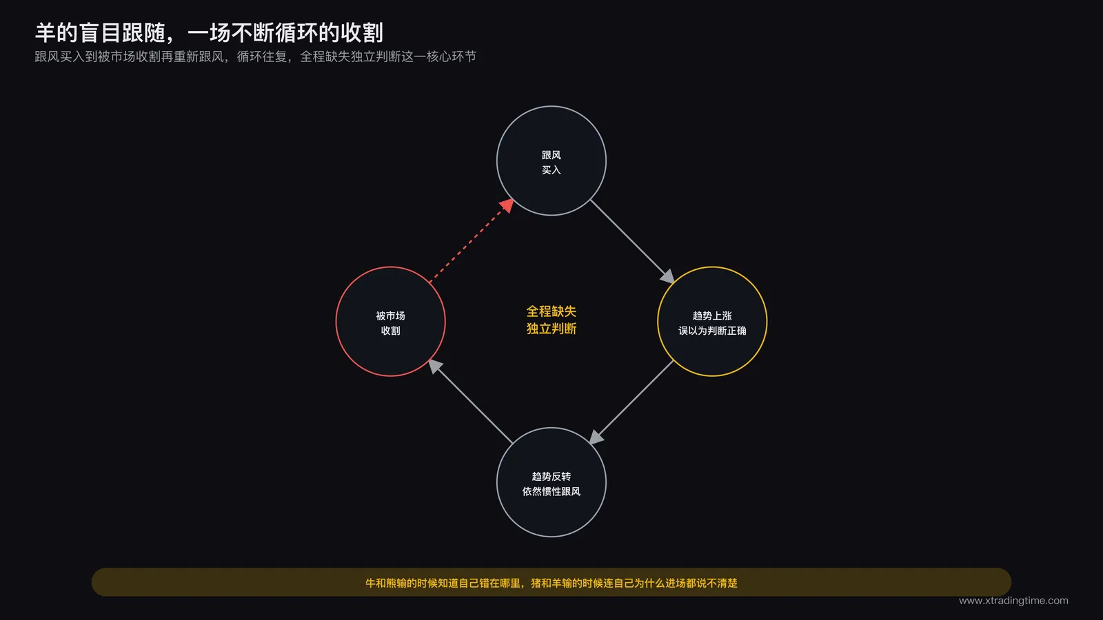 羊的盲目跟随循环示意:跟风买入到趋势持续上涨误以为判断正确到趋势反转依然惯性跟风,循环最终指向被市场收割,标注全程缺失独立判断这一核心环节